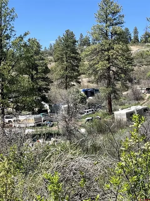 367 Echo Ln, Pagosa Springs, CO 81147