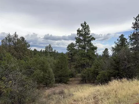 2932 Crooked Rd, Pagosa Springs, CO 81147