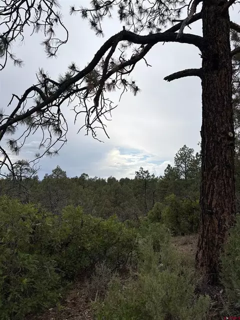 2932 Crooked Rd, Pagosa Springs, CO 81147