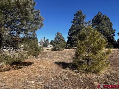 183 Park Ave, Pagosa Springs, CO 81147