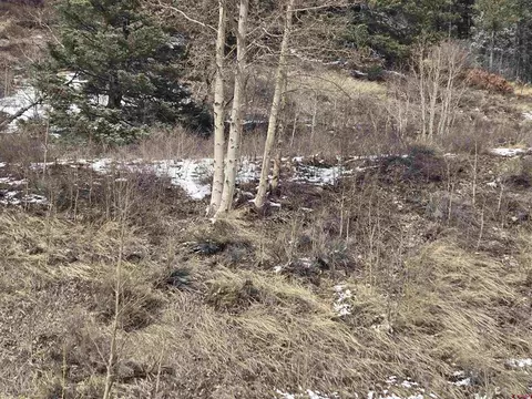 Sdcr Unit R2 Balleroy, Fort Garland, CO 81133