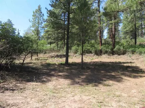 135 Evergreen Dr, Pagosa Springs, CO 81147
