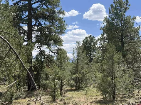 1960 Marmot Dr, Ridgway, CO 81432 photo 22