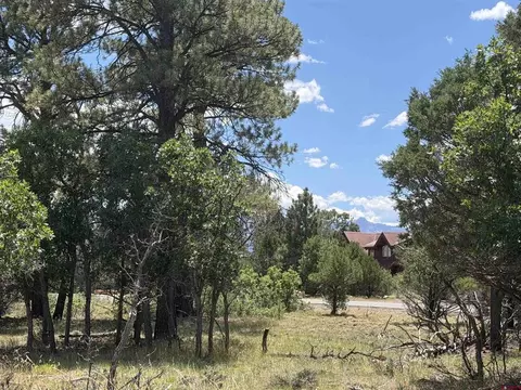 1960 Marmot Dr, Ridgway, CO 81432