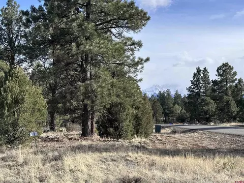 1960 Marmot Dr, Ridgway, CO 81432