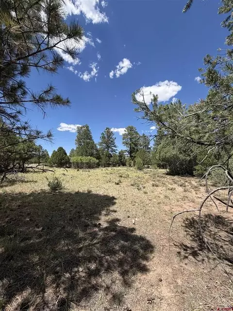 1960 Marmot Dr, Ridgway, CO 81432 photo 23