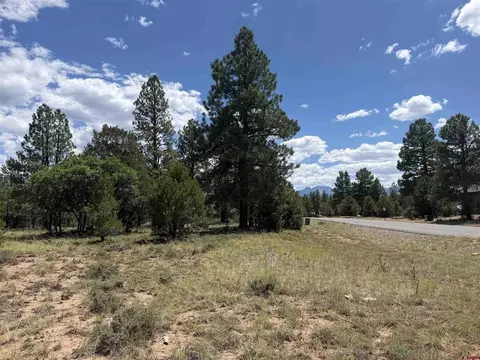 1960 Marmot Dr, Ridgway, CO 81432 photo 16