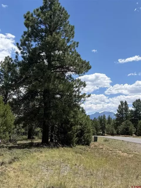 1960 Marmot Dr, Ridgway, CO 81432 photo 17