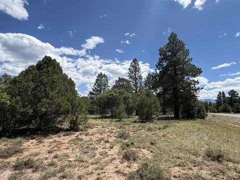 1960 Marmot Dr, Ridgway, CO 81432 photo 18