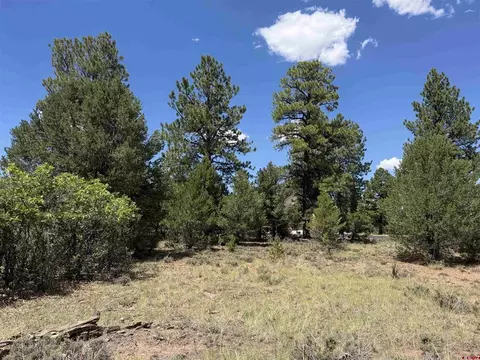 1960 Marmot Dr, Ridgway, CO 81432 photo 21