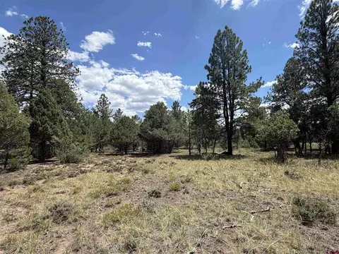 1960 Marmot Dr, Ridgway, CO 81432 photo 20