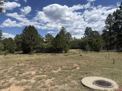 1960 Marmot Dr, Ridgway, CO 81432 photo 15