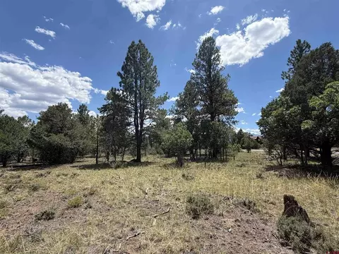 1960 Marmot Dr, Ridgway, CO 81432 photo 19