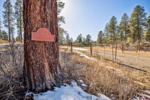 699 N Lakeside Dr, Durango, CO 81301