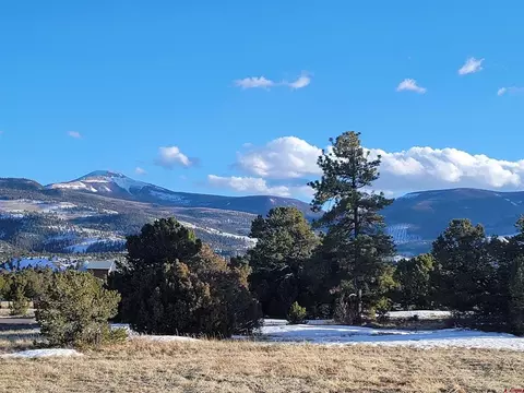 4413 Bear Creek Cir, South Fork, CO 81154