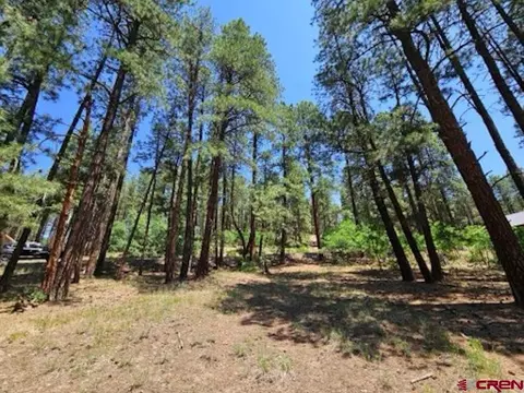 32 Cub Ct, Bayfield, CO 81122