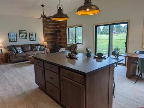 103 Divot Pl, Pagosa Springs, CO 81147