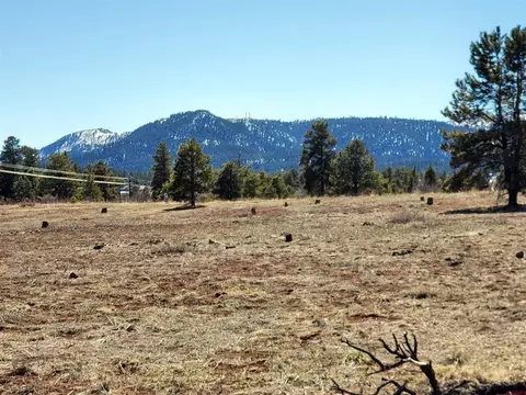 22 Greenway Dr, Pagosa Springs, CO 81147