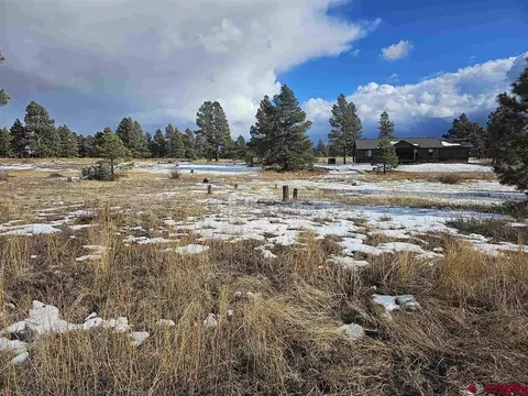 335 Domicile Cir, Pagosa Springs, CO 81147