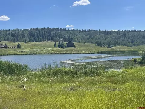 260 Clearwater Ln, Pagosa Springs, CO 81147