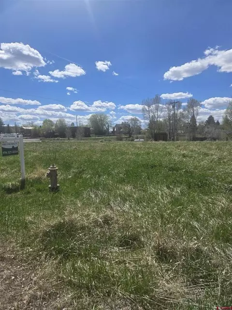 1130 Forest St, Norwood, CO 81423