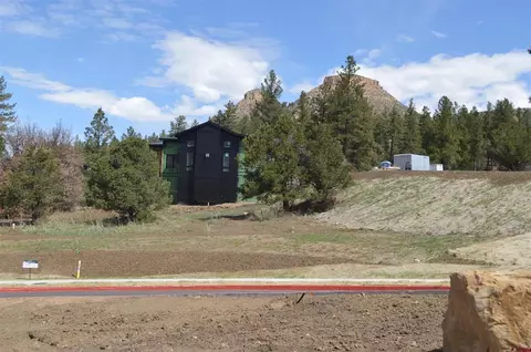 64 Wild Chives Ct, Durango, CO 81301 photo 5