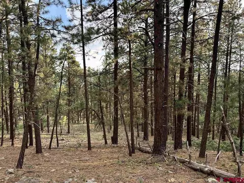 259 Hillside Cir, Bayfield, CO 81122