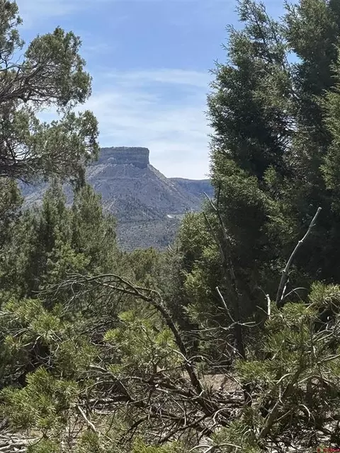 tbd J8 Rd, Mancos, CO 81328