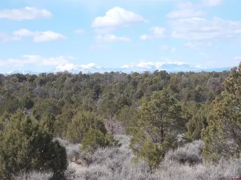 lot19 County Road 42 Zn, Norwood, CO 81423