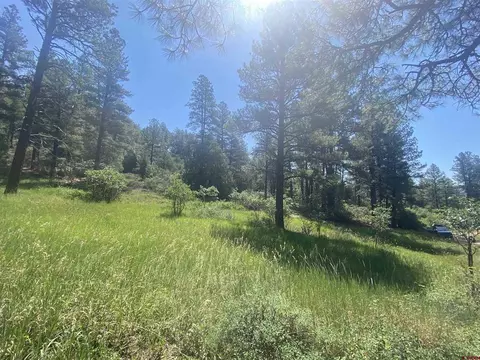 462 Circle Dr, Pagosa Springs, CO 81147