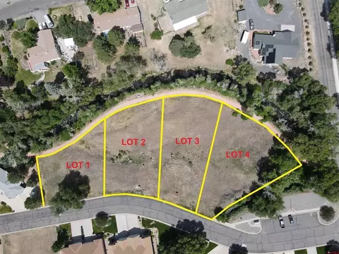 lot1 SE Tbd Se Stonebridge Dr, Cedaredge, CO 81413