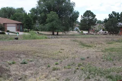 lot2 SE Tbd Se Stonebridge Dr, Cedaredge, CO 81413 photo 19