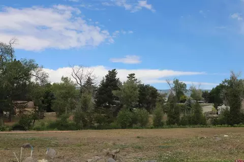 lot2 SE Tbd Se Stonebridge Dr, Cedaredge, CO 81413 photo 10