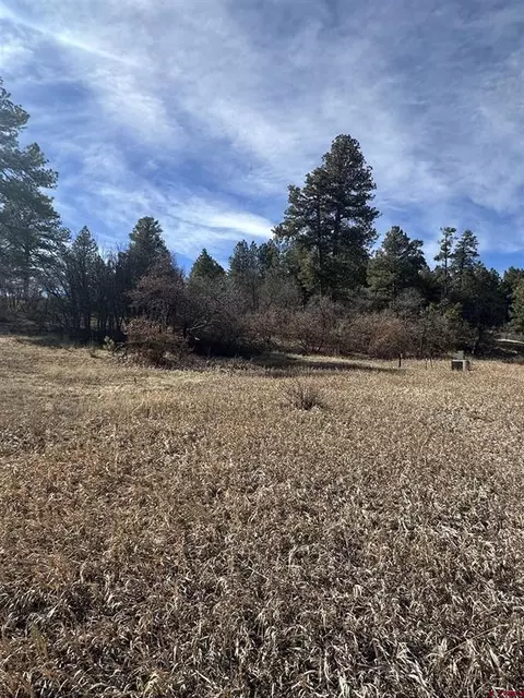 90 Chase Ct, Pagosa Springs, CO 81147