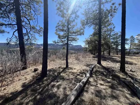 174 Caraway Ct, Pagosa Springs, CO 81147