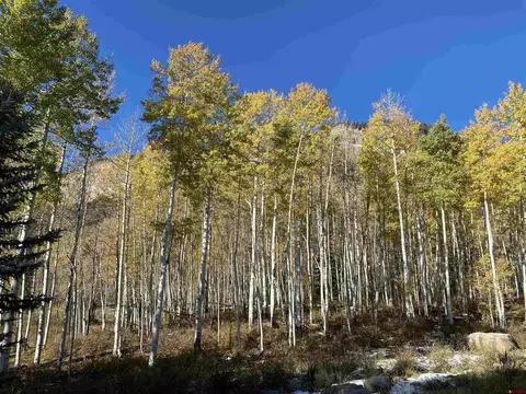 401 Wilshire Dr, Durango, CO 81301 photo 5