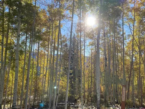 401 Wilshire Dr, Durango, CO 81301 photo 13