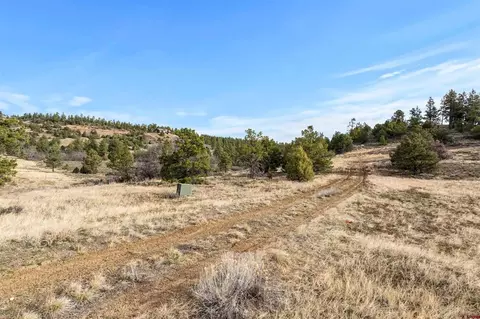 717 Zane Dr, Durango, CO 81303 photo 10