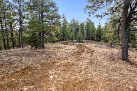 717 Zane Dr, Durango, CO 81303 photo 16