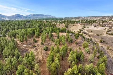 717 Zane Dr, Durango, CO 81303 photo 27