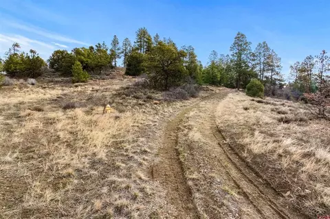 717 Zane Dr, Durango, CO 81303 photo 12