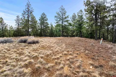 717 Zane Dr, Durango, CO 81303 photo 19