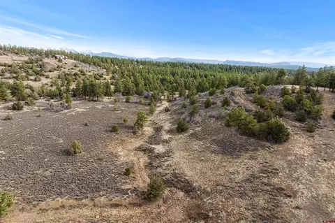 717 Zane Dr, Durango, CO 81303 photo 24