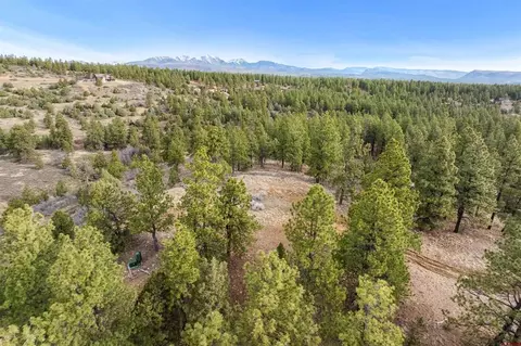 717 Zane Dr, Durango, CO 81303 photo 21