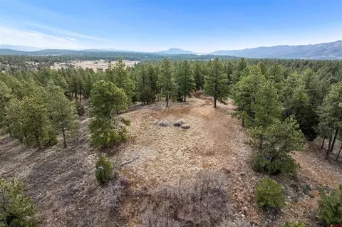 717 Zane Dr, Durango, CO 81303 photo 20