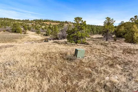 717 Zane Dr, Durango, CO 81303 photo 11