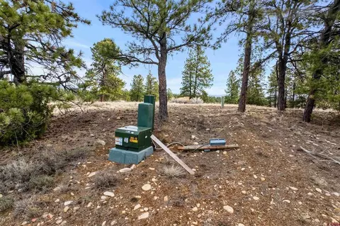 717 Zane Dr, Durango, CO 81303 photo 14