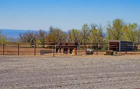 Exterior - 11313 Running Deer Rd, Eckert, CO 81418 photo 2 of 2