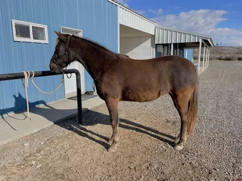 Other - 11313 Running Deer Rd, Eckert, CO 81418 photo 13 of 27
