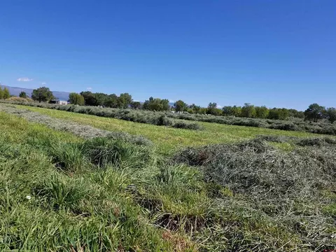 Other - 11313 Running Deer Rd, Eckert, CO 81418 photo 18 of 27